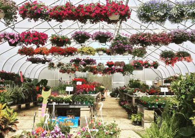 Hanging baskets & so much more!