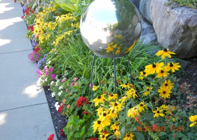 Annual planting, late summer
