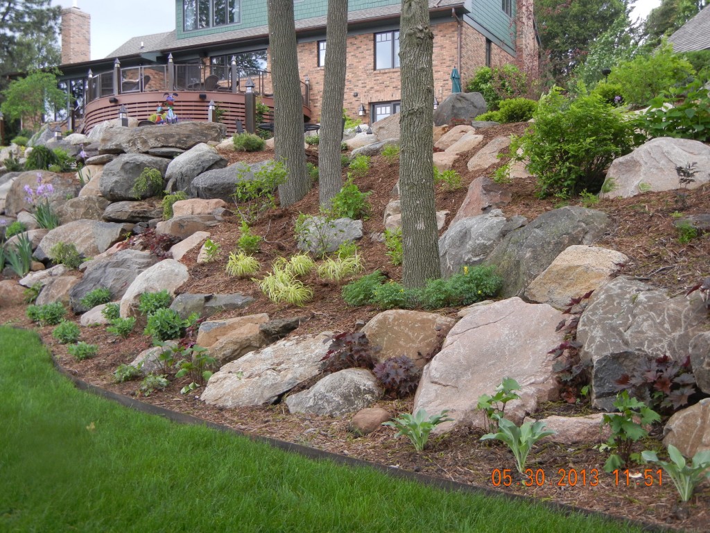 Newly planted Perennial garden