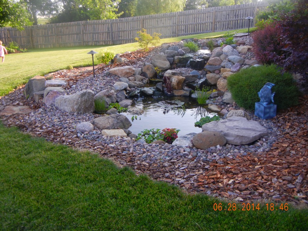 Backyard Water Feature