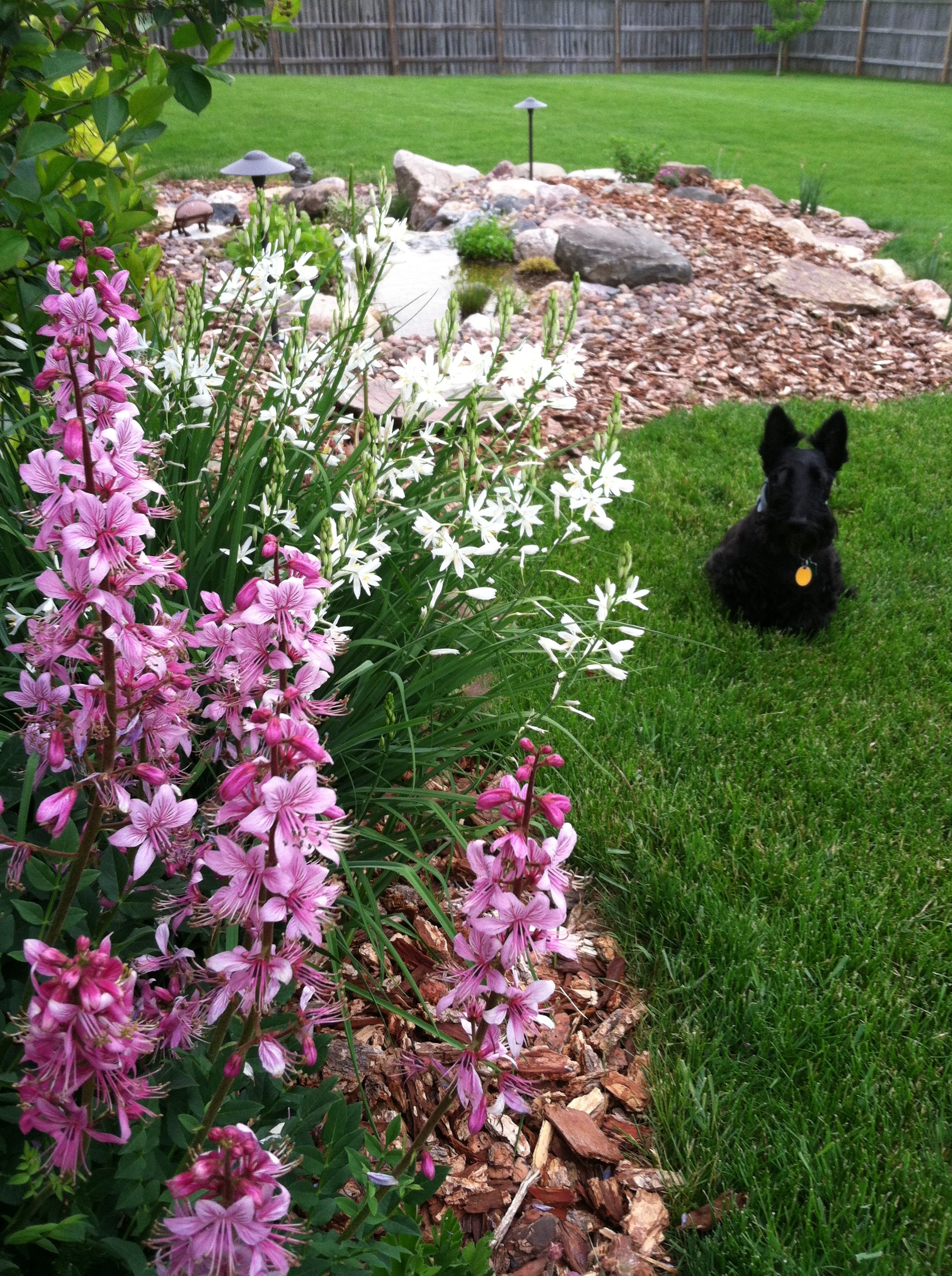 Spring Garden