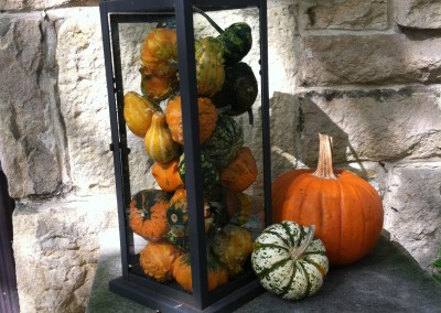 Gourds!