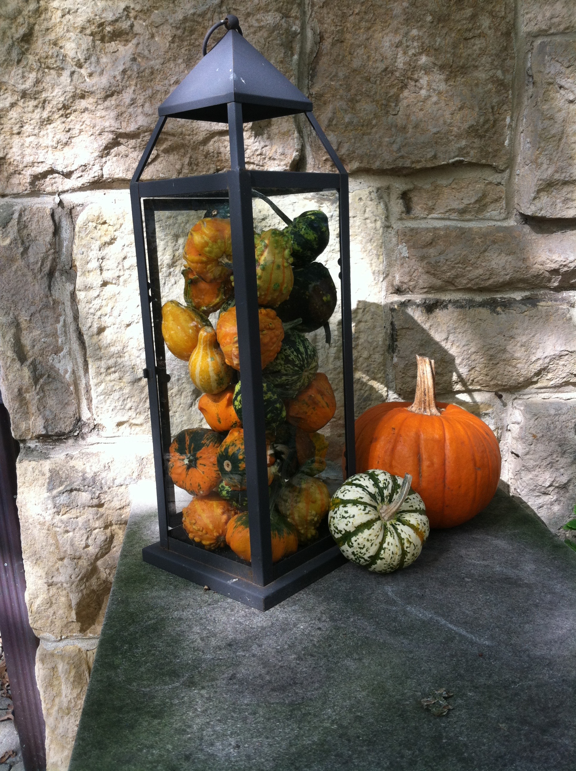 Gourds!