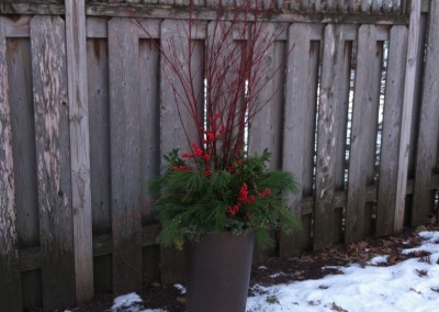 Backyard container with red dogwood
