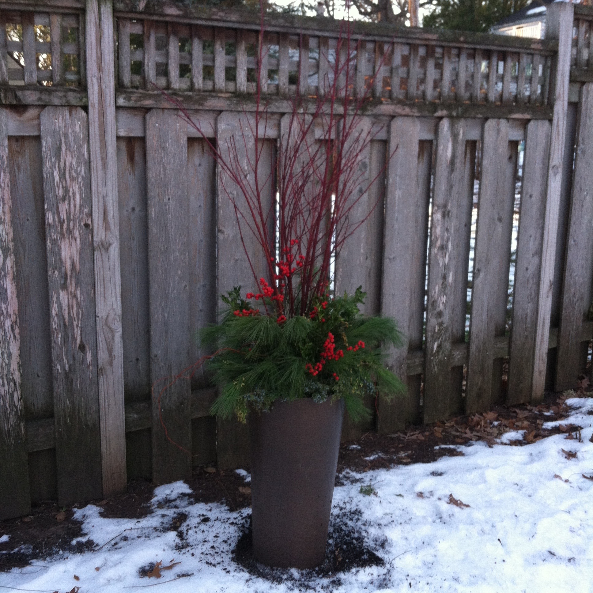 Backyard container with red dogwood