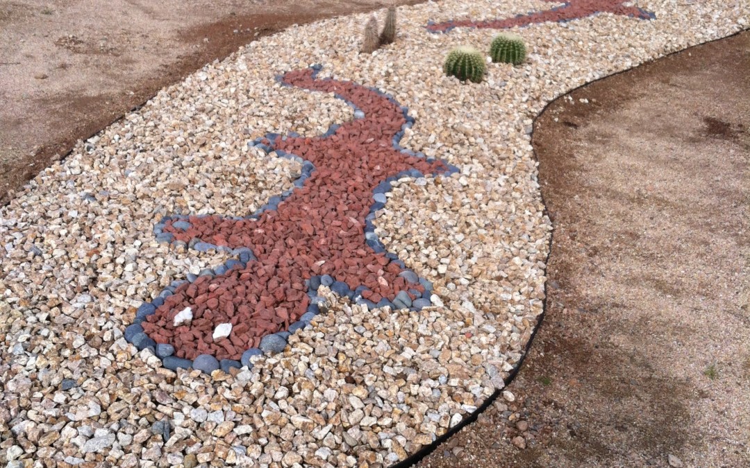 Desert stone geckos