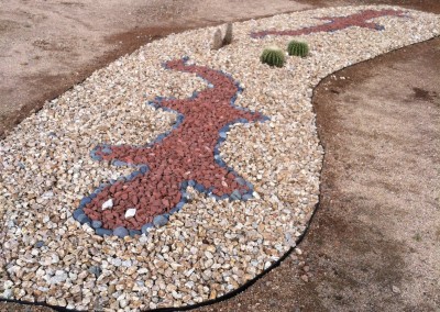 Desert stone geckos