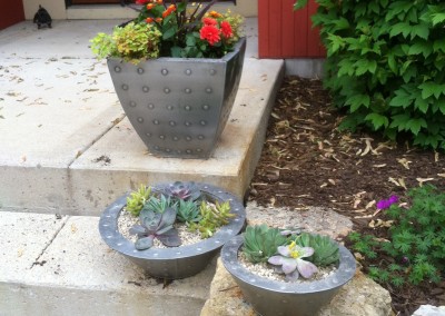 Mix of Succulent troughs and annual containers