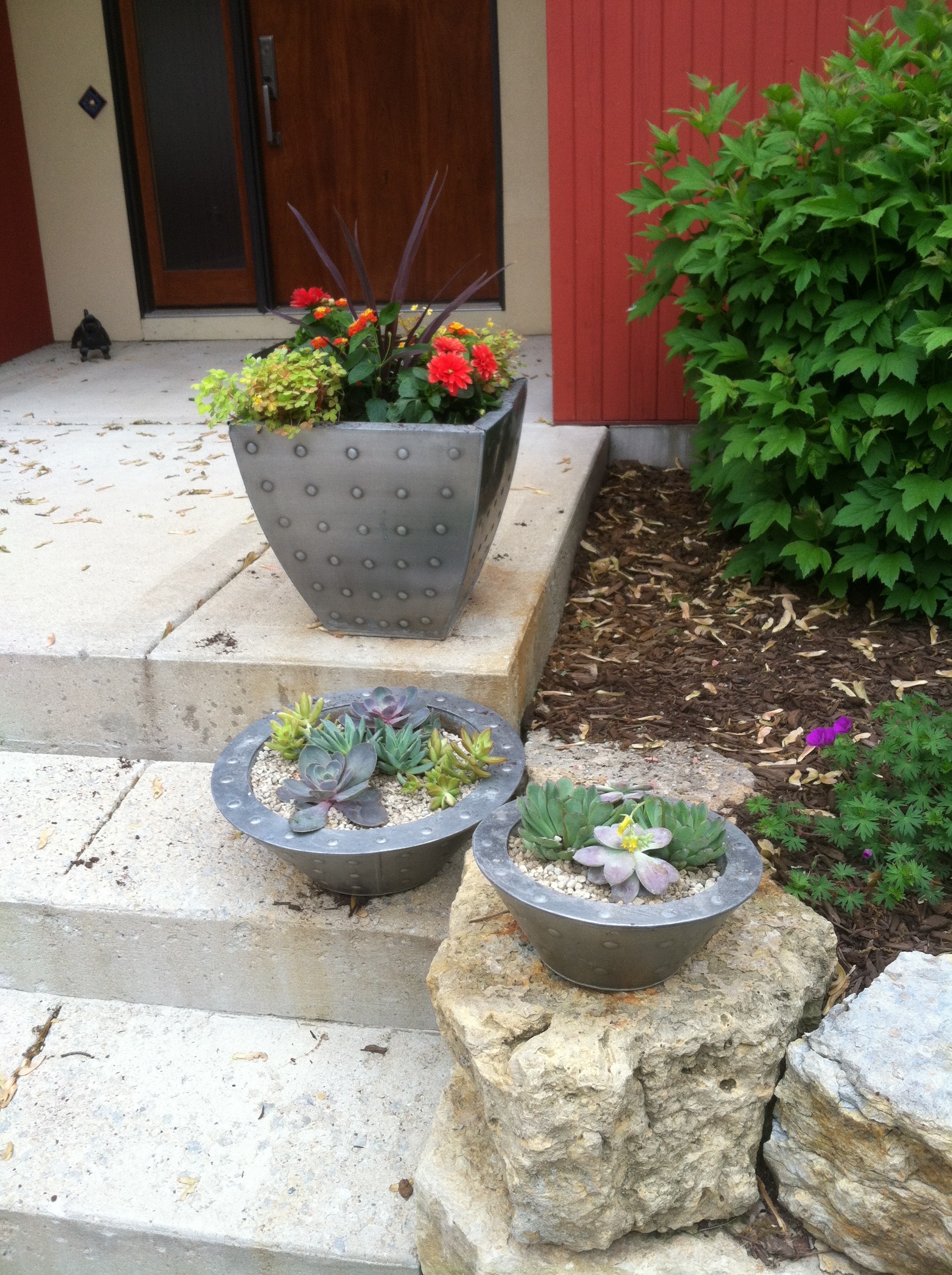 Mix of Succulent troughs and annual containers