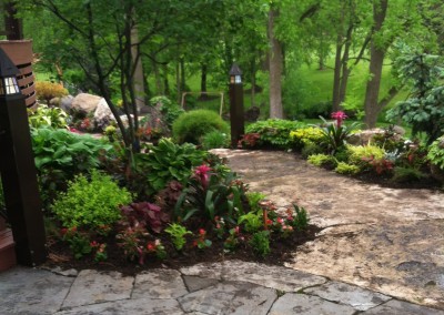 Fully landscaped back yard