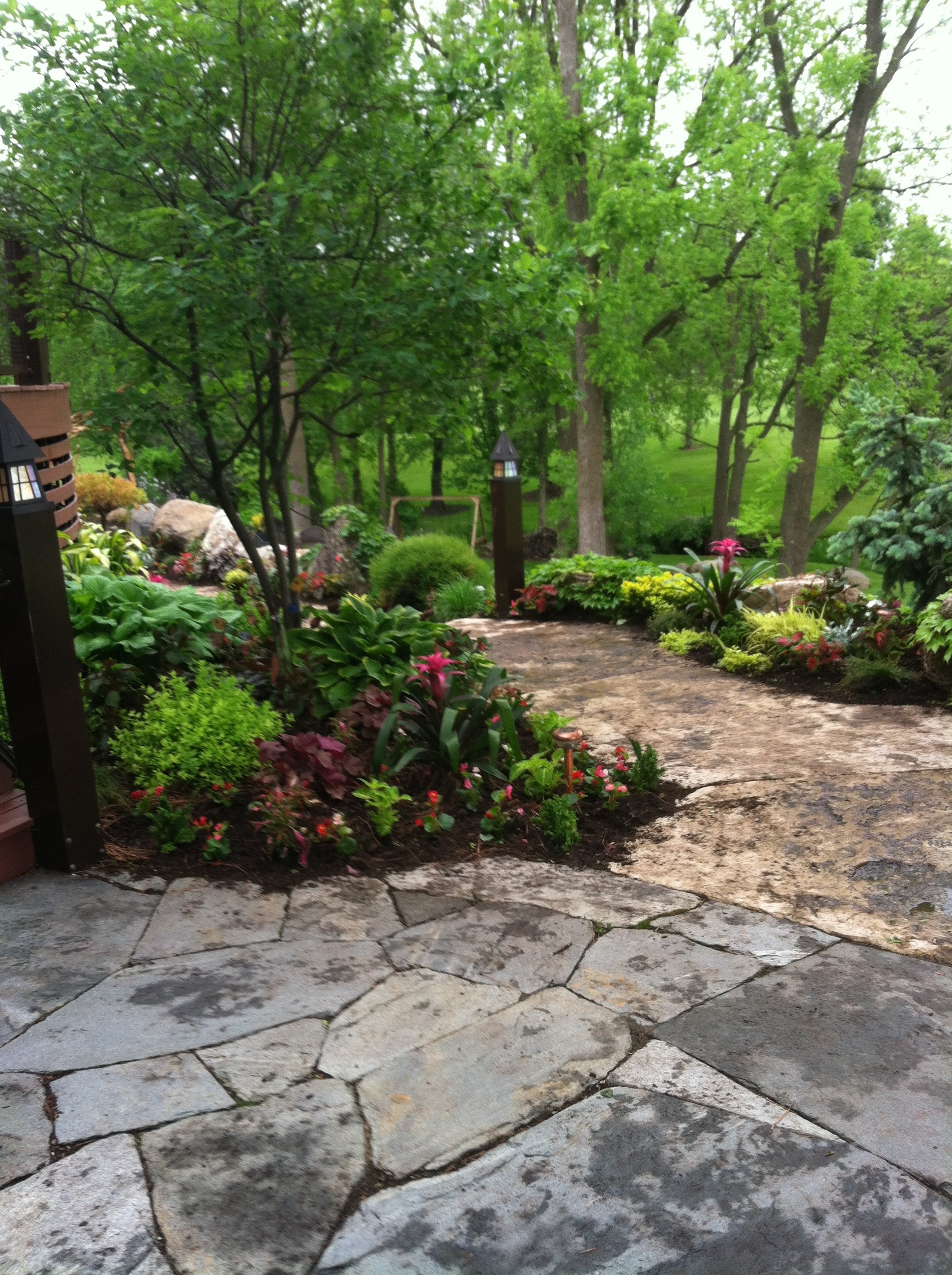 Fully landscaped back yard