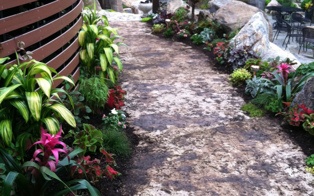 Tropical annual planting, summer 2015