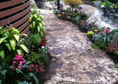 Tropical annual planting, summer 2015