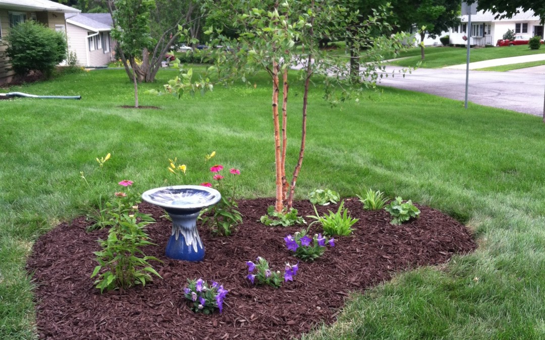 Newly planted garden