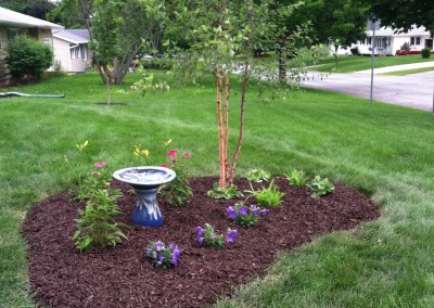 Newly planted garden