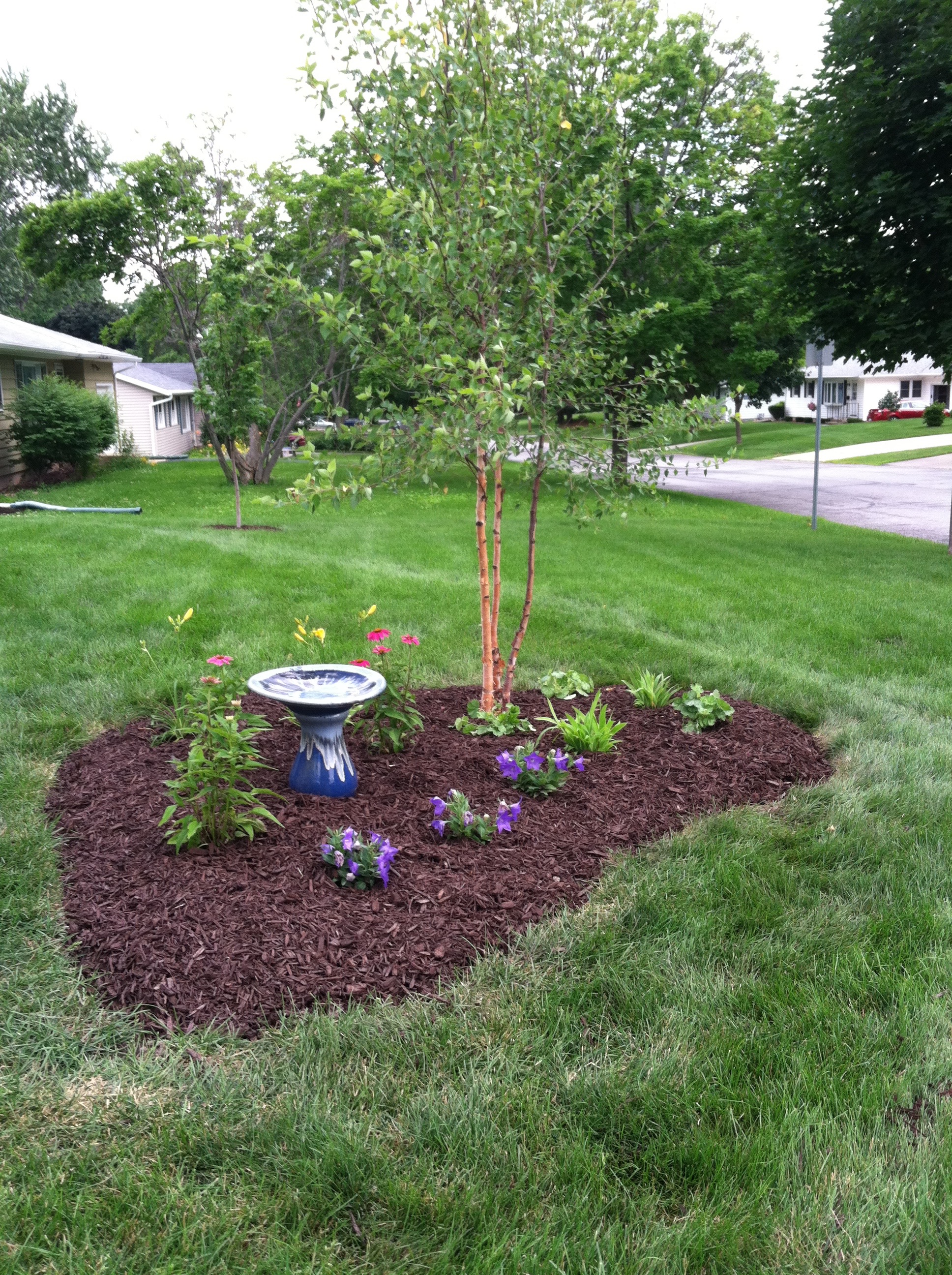 Newly planted garden