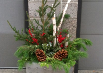 Holiday Container