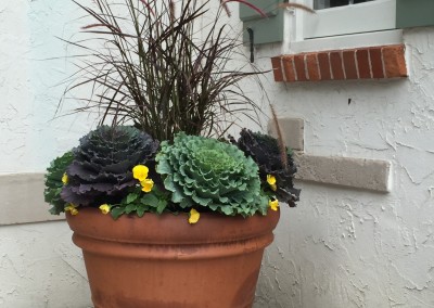 Fall Decor