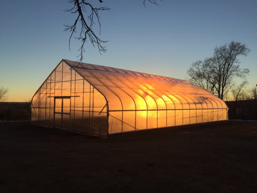 Sunset at the Greenhouse