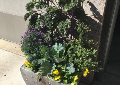 Fall Container