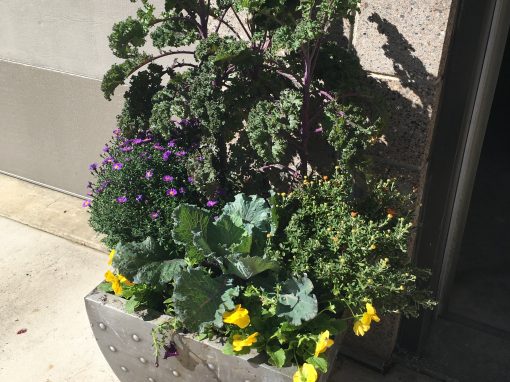 Fall Container