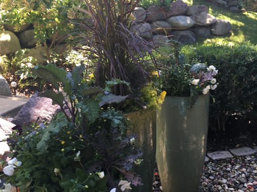 Kale Accenting Fall Containers