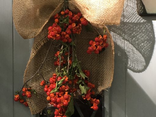 Bittersweet Bow