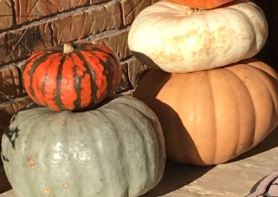 Heirloom Pumpkin Stacks