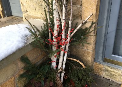 Birch Arrangement