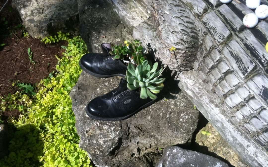 Shoe Shines