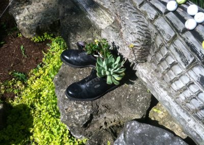 Shoe Shines