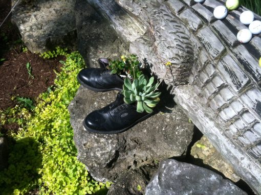 Shoe Shines