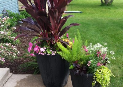 Summer Containers