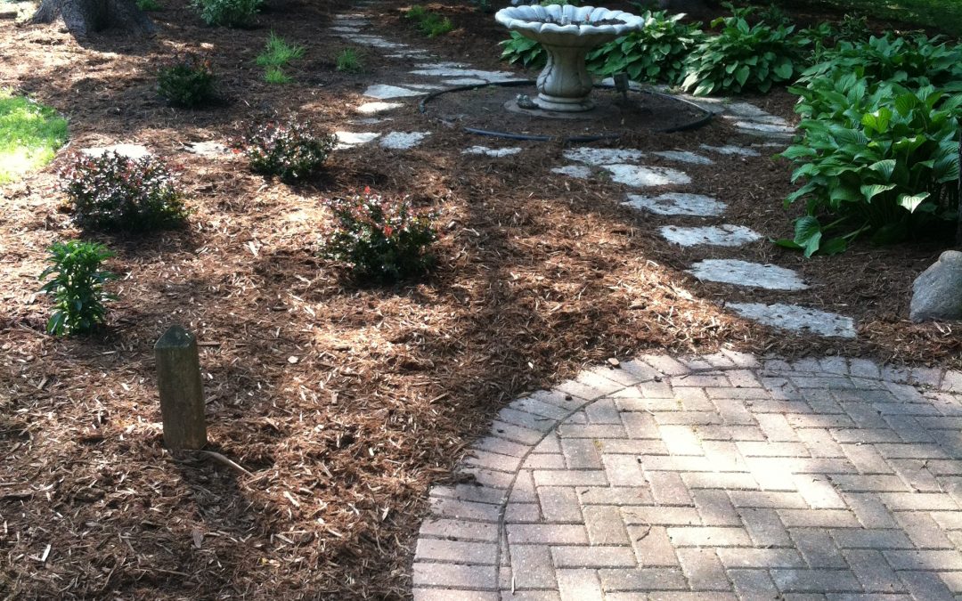 Landscaped garden