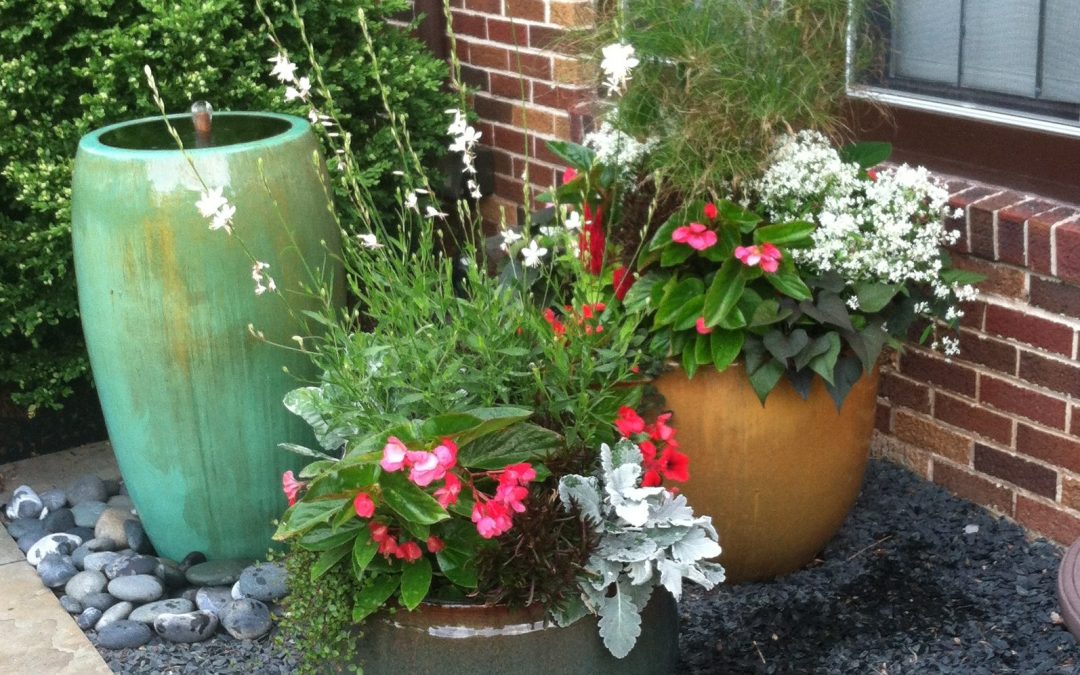 Large Container Set