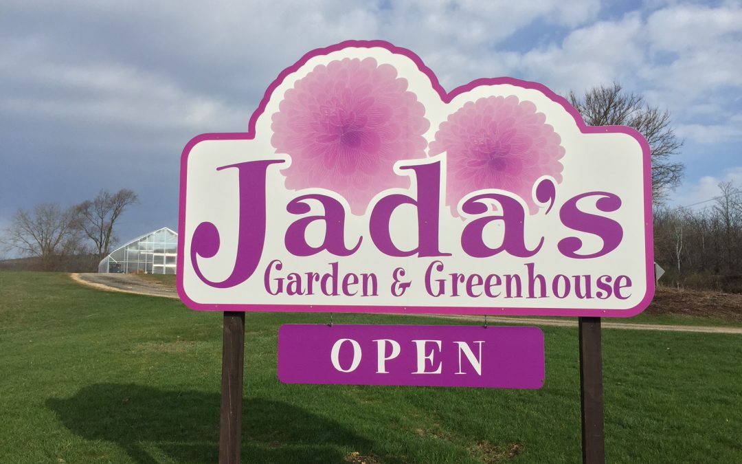 COVID-19 & Jada’s Garden Opening – 2020