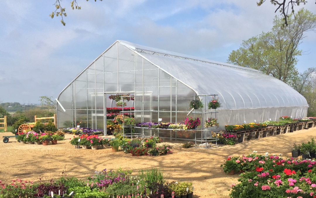 Jada’s Garden & Greenhouse