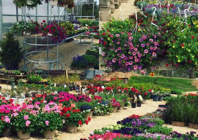 Visit Jada’s Garden & Greenhouse
