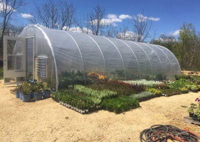 Overstock Greenhouse
