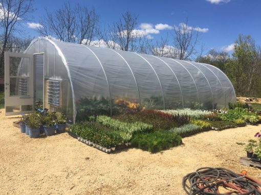 Overstock Greenhouse
