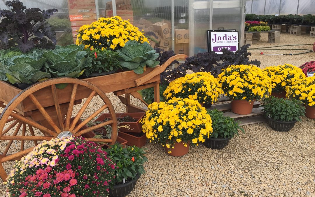 Fall Greenhouse Season