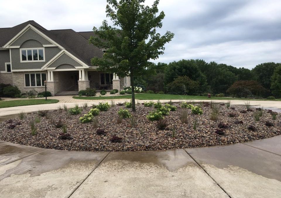 Rock Garden Project