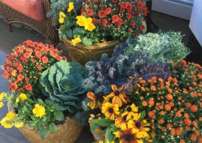 More stunning fall containers!