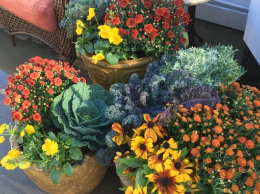 More stunning fall containers!