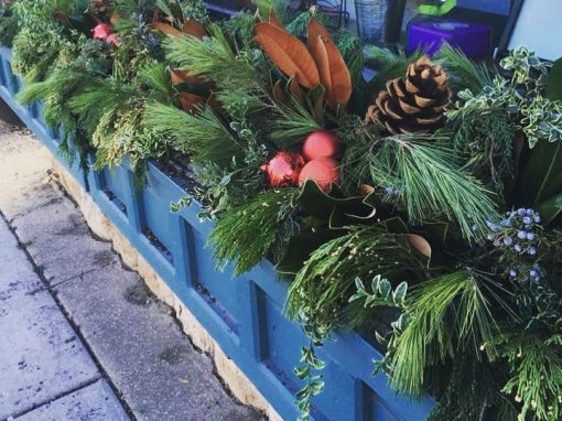 Holiday Window Boxes