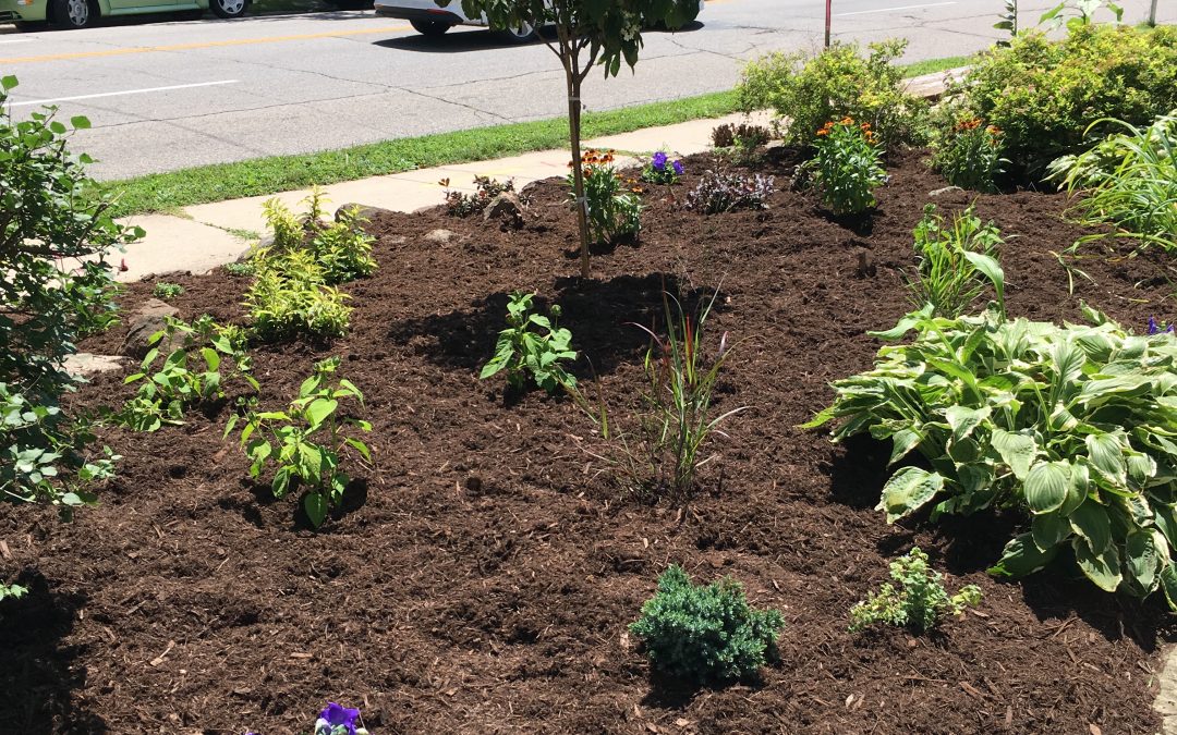 Impeccable Landscaping