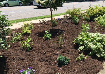 Impeccable Landscaping