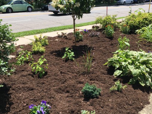 Impeccable Landscaping