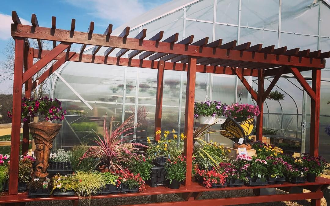 Greenhouse Pergola Dispay