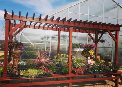 Greenhouse Pergola Dispay